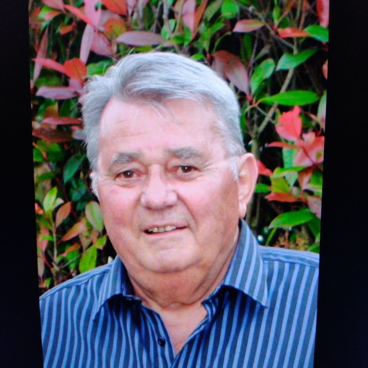 Photo de François CHEVALLIER
