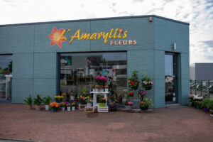 devanture de amaryllis fleurs