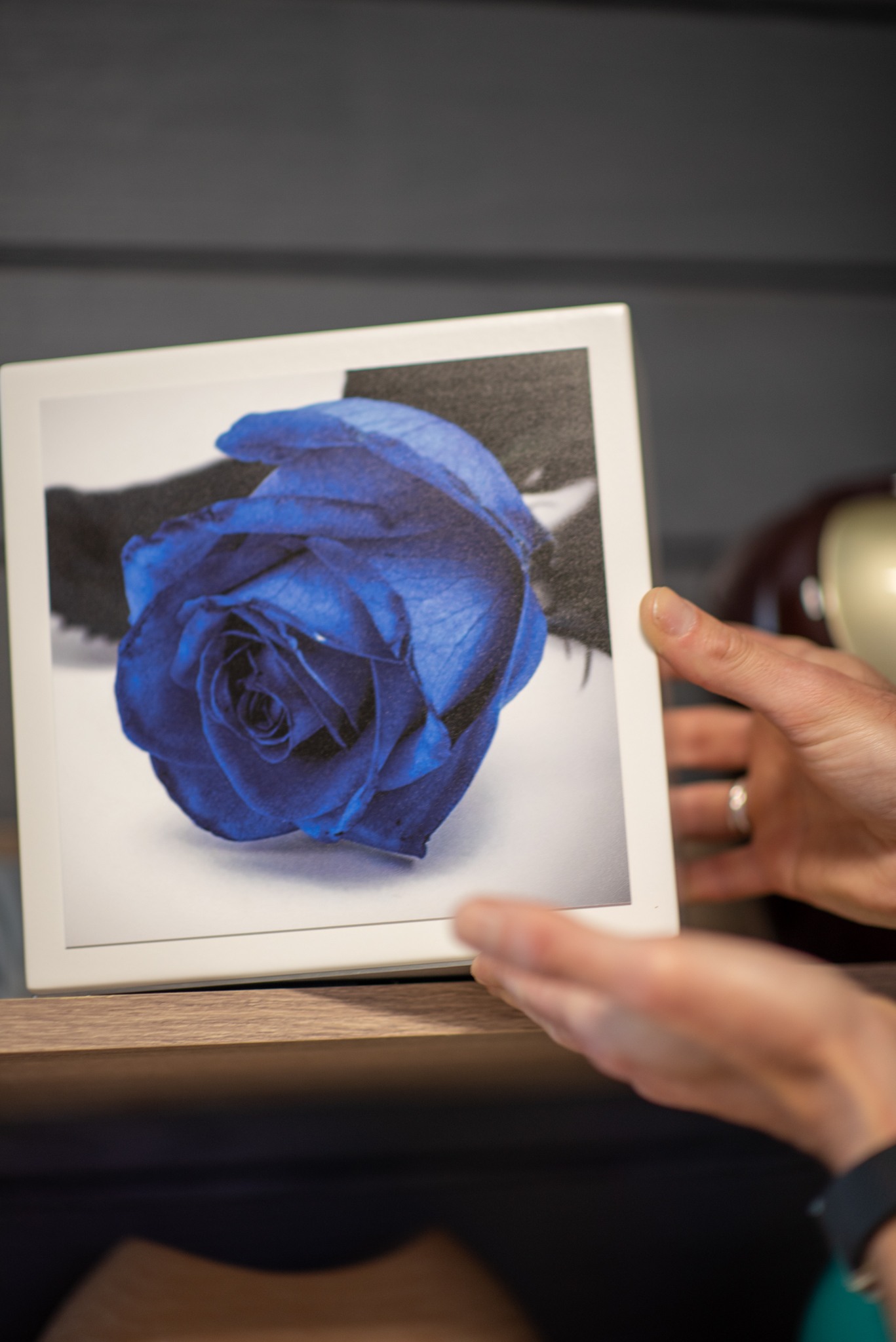 cadre photo de rose bleue