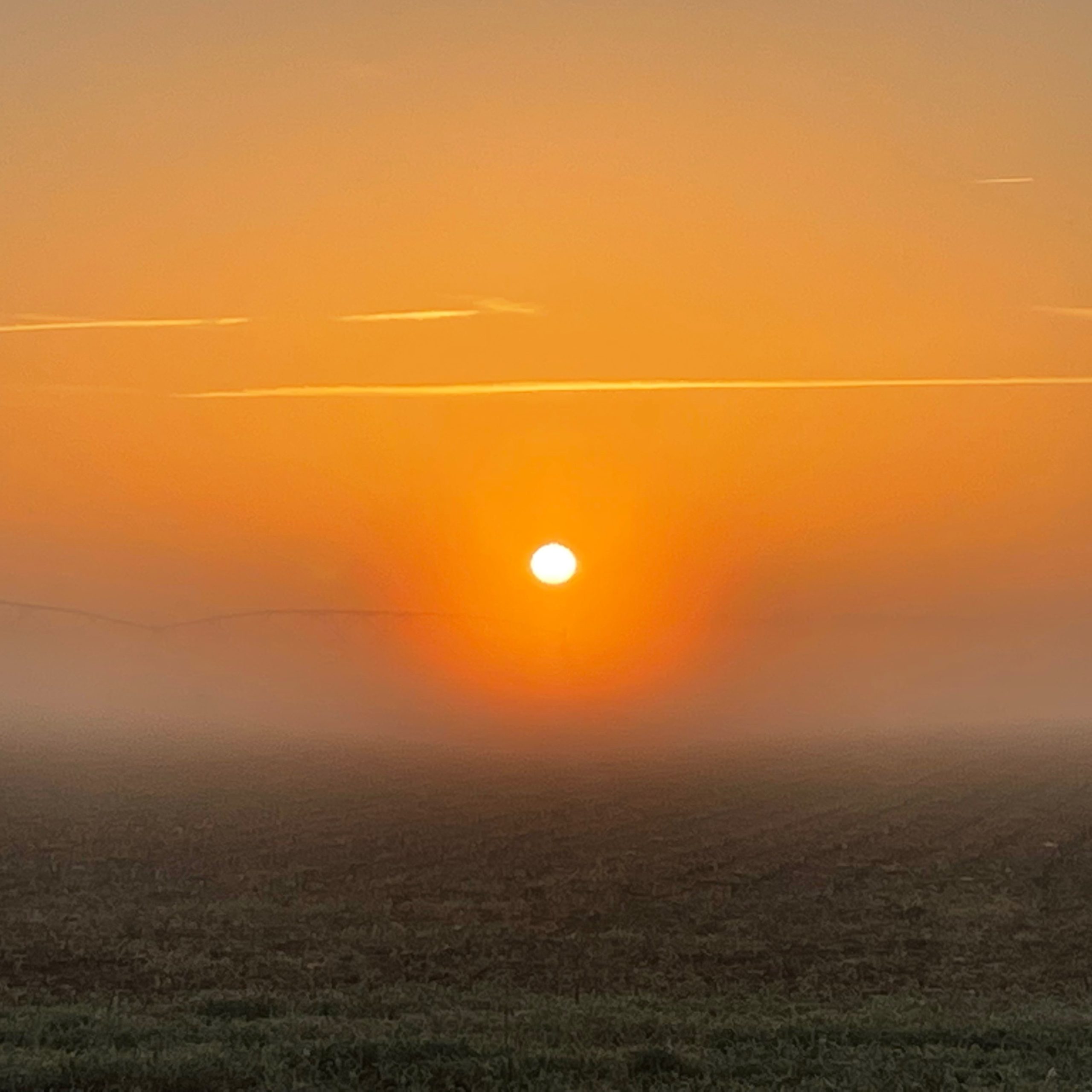 Photo de Fabrice PATTYN