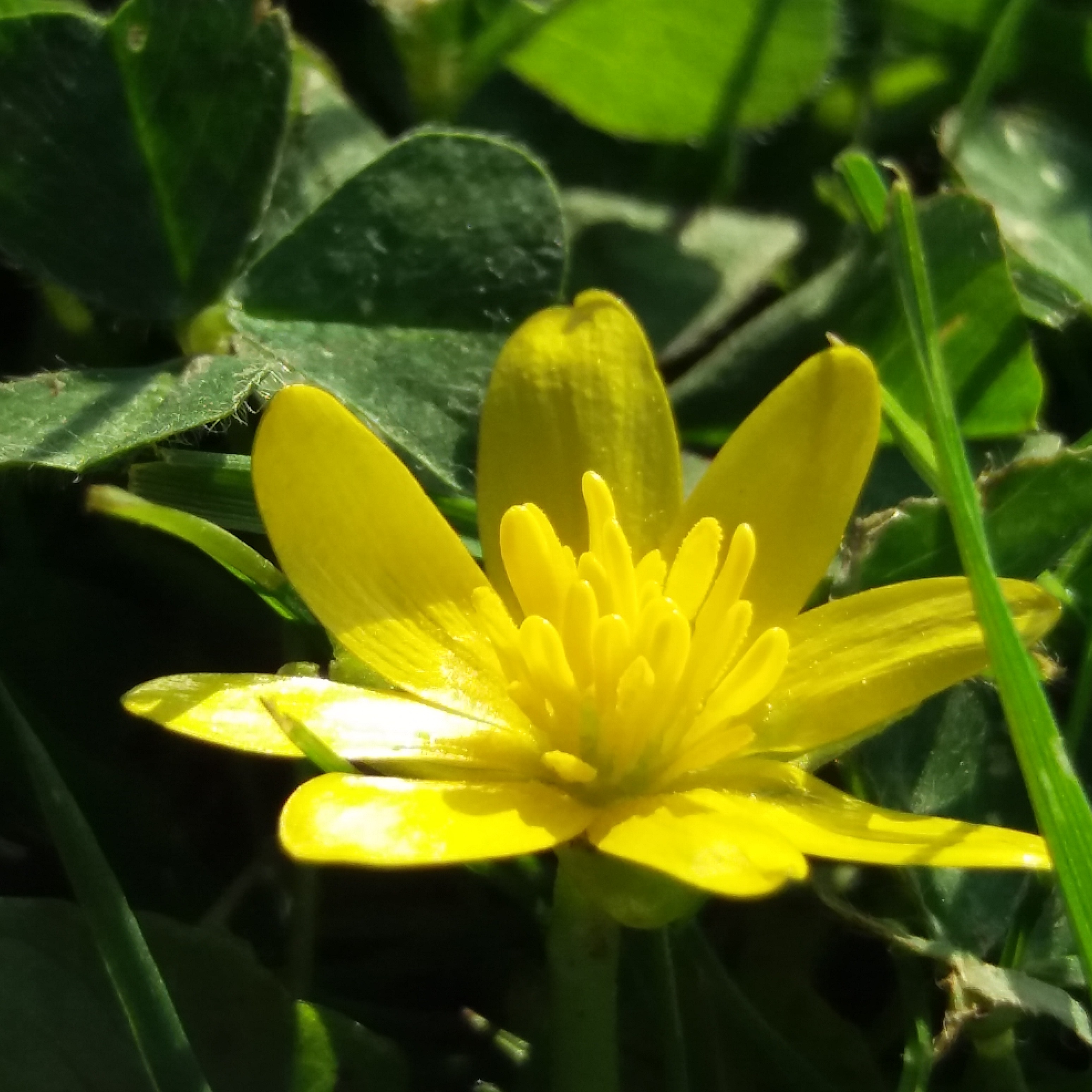 Photo de Thérèse GABORIAU