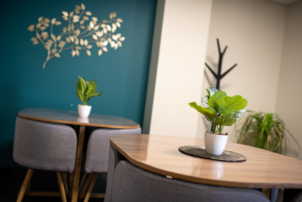 deux tables avec des calathea